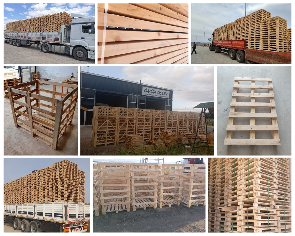 Casale sul Sile Palette Europe, Acheter des palettes en gros